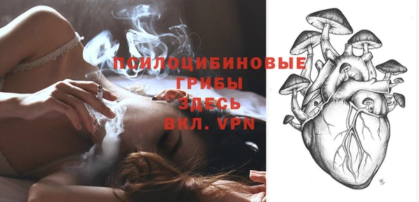 гашик Алзамай